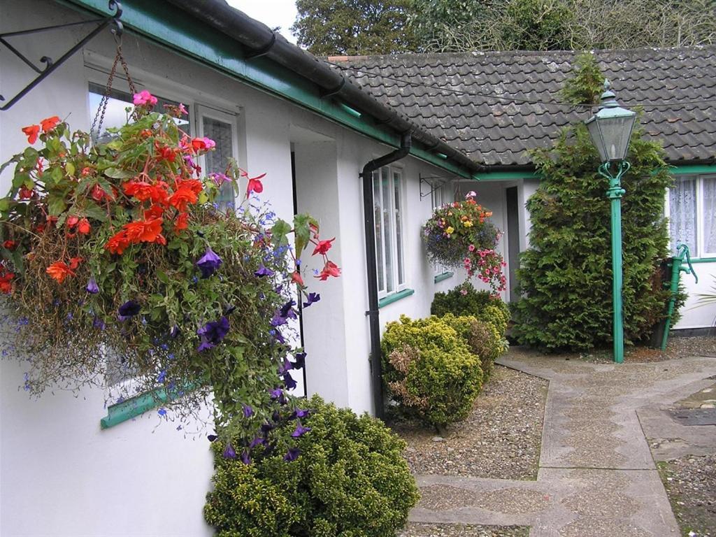 The Willow House Watton Eksteriør billede